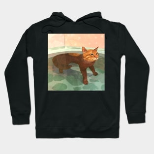 bath time (cat) Hoodie